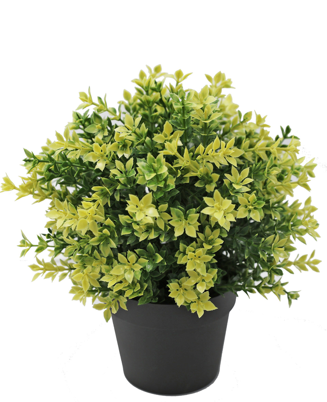 Planta artificial Boj amarillo 22 cm UV