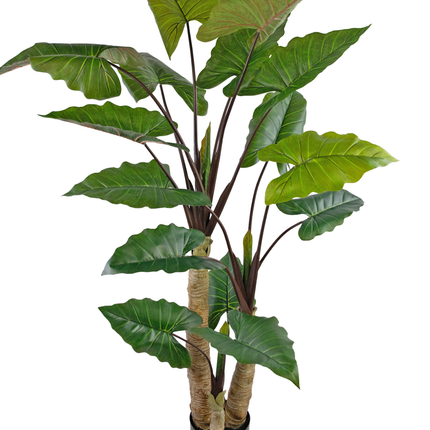 Planta artificial Alocasia 210 cm