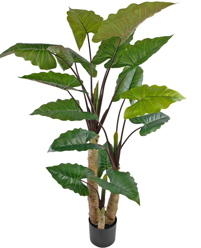 Planta artificial Alocasia 210 cm