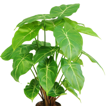 Planta artificial Syngonium 58 cm