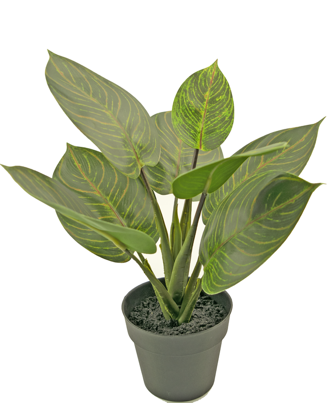 Planta artificial Rohdea 34 cm