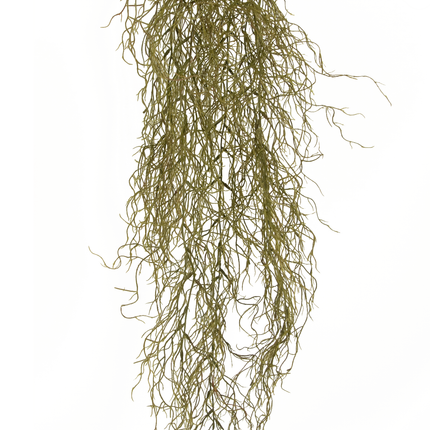 Planta artificial colgante Sudo 110 cm