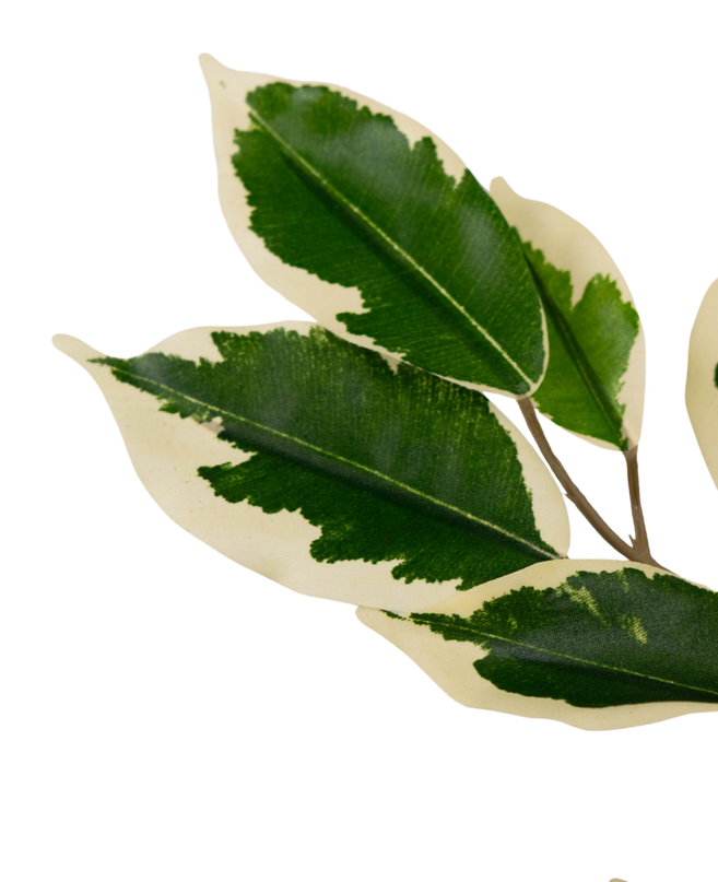 Planta artificial Ficus Verde/blanco 90 cm