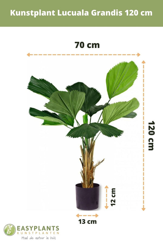 Planta artificial Lucuala Grandis 120 cm