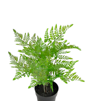 Planta artificial Helecho 35 cm