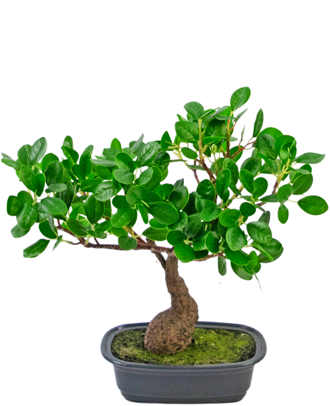 Planta artificial Bonsai Ficus 30 cm
