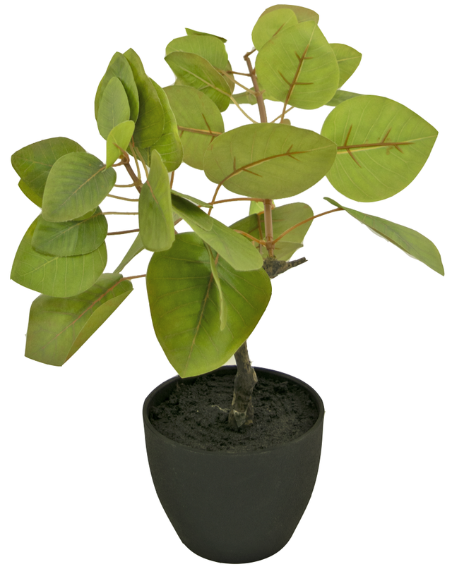 Ficus artificial Tropical 12 cm