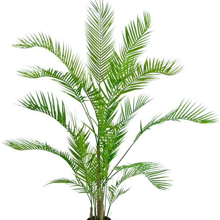 Planta artificial Palmera Chamaedorea 150 cm