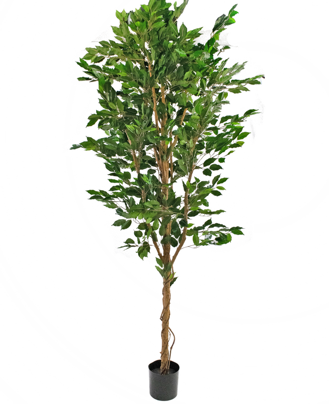 Planta artificial Ficus Verde 240 cm