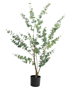 La Planta Artificial Eucalipto 150 cm es un eucalipto artificial alto en una maceta con ramas largas y delgadas y hojas redondas de color verde plateado, sobre un fondo blanco liso.