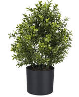 De Kunstplant Buxus Romeinse stijl UV 36cm is een compacte kunstplant in pot met dicht groen gebladerte, weergegeven in een eenvoudige zwarte ronde plantenbak tegen een effen witte achtergrond.