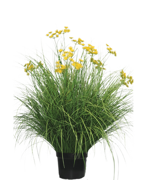 La Planta de Césped Artificial Asteraceae 100 cm retardante de fuego tiene hojas largas y estrechas y racimos de flores de color amarillo brillante en tallos altos. Esta planta que no requiere mantenimiento luce hermosa en cualquier interior sobre un fondo blanco.