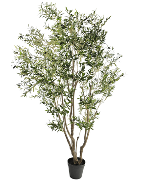 De Kunstplant Olijfboom 260 cm heeft meerdere slanke takken en dichte, smalle groene bladeren. Tegen een witte achtergrond brengt deze onderhoudsvriendelijke kunstplant moeiteloos groen in elke ruimte.