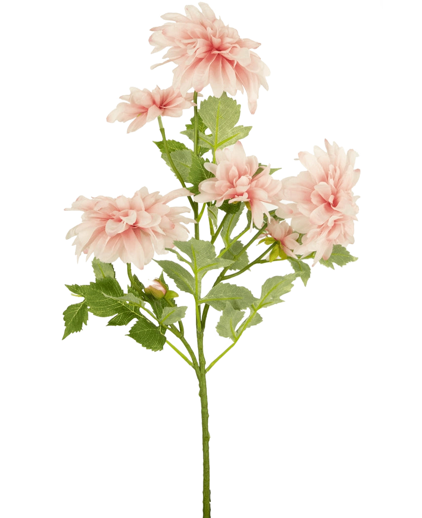 La Flor Artificial Dalia 68 cm rosa tiene un único tallo verde con varias flores de dalia de color rosa claro y hojas verdes, sobre un fondo blanco liso.