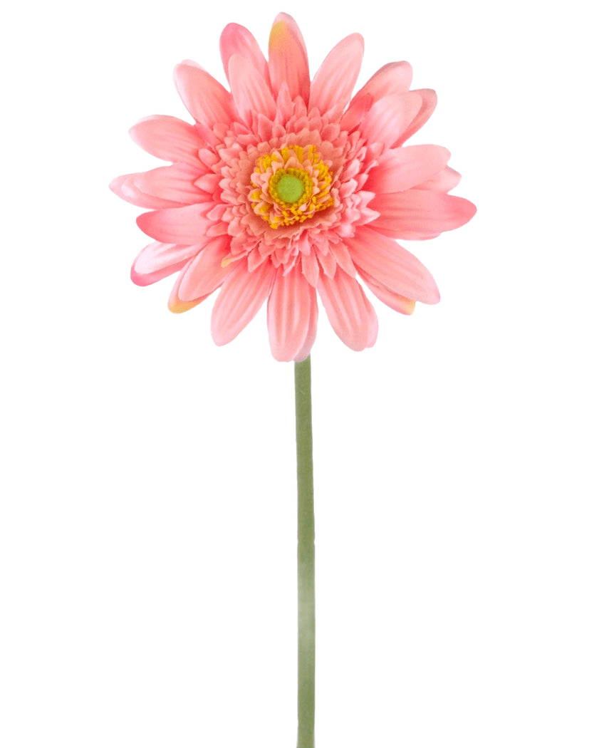 Una flor artificial Gerbera de 55 cm rosa tiene una única gerbera rosa con un corazón de color amarillo verdoso sobre un largo tallo verde, sobre un fondo blanco liso.