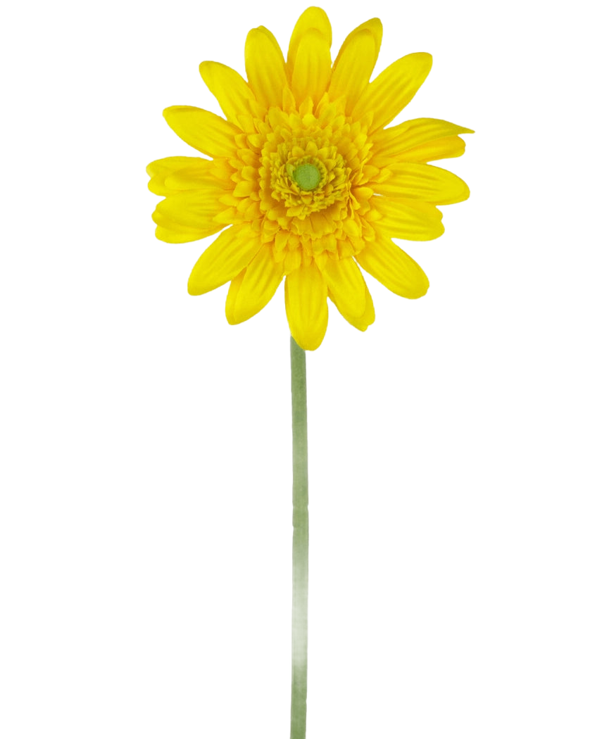 La Flor Artificial Gerbera 53 cm amarilla es una única margarita artificial amarilla con un corazón verde y un largo tallo verde, sobre un fondo blanco liso.