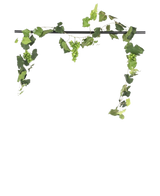 De Kunst Druiven guirlande brandvertragend 186 cm, met trossen groene druiven en bladerranken, staat op een zwarte horizontale stang voor opvallende kunstplant decoratie tegen een witte achtergrond.