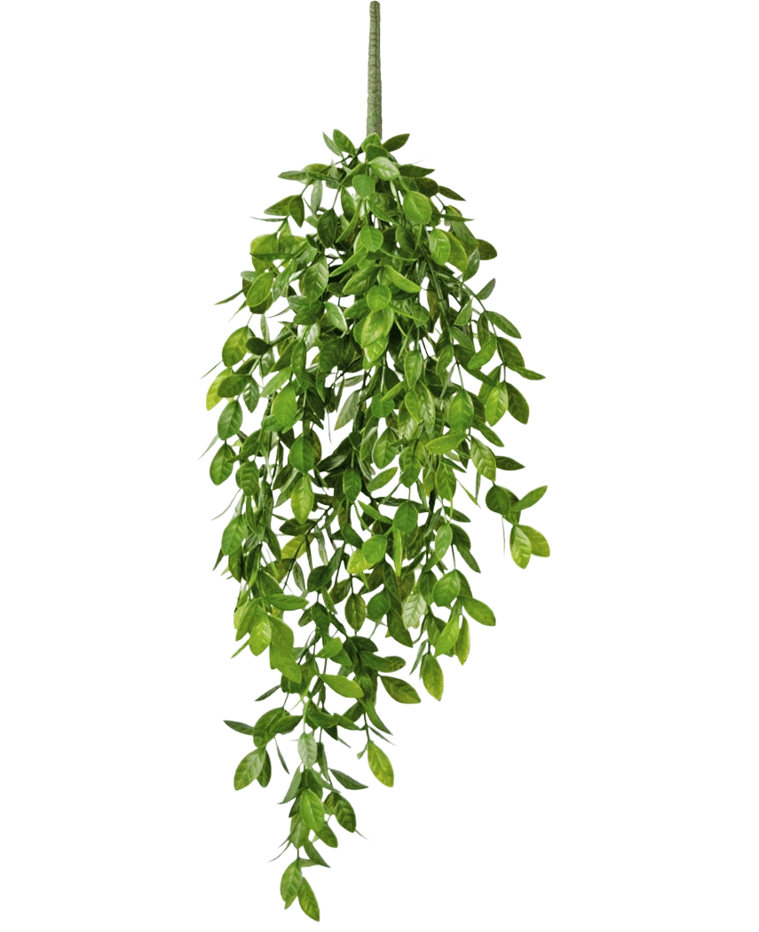 La Planta colgante artificial Gardenia 61 cm es una planta colgante artificial con hojas verdes y exuberantes y un único tallo visible, sobre un fondo blanco liso.