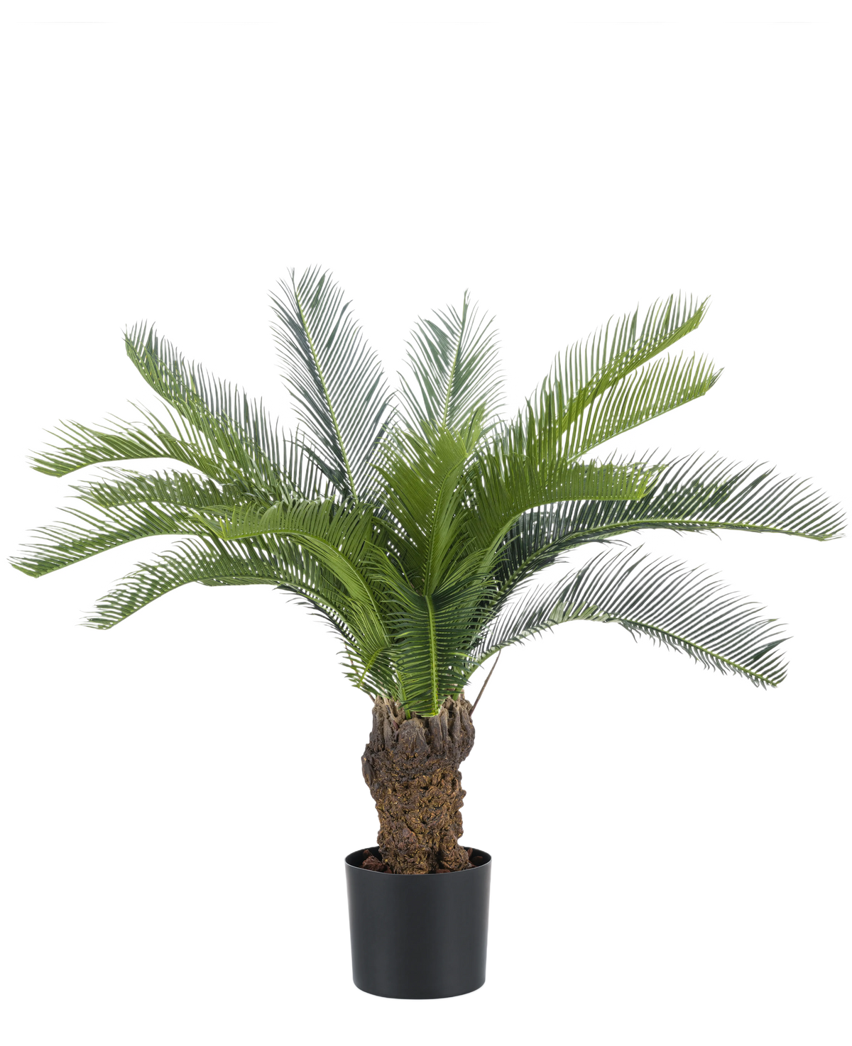 La palmera Cycas artificial de 80 cm tiene una cícada verde larga y curvada y un tronco grueso y estructurado. La planta está en una sencilla maceta negra sobre un fondo blanco liso.