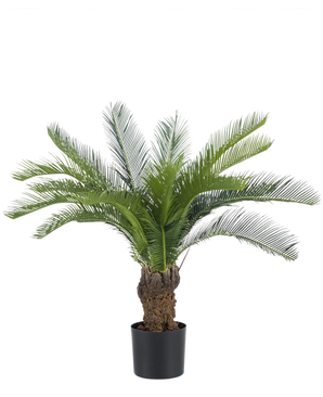 De Kunstplant Cycaspalm 80 cm heeft lange, gebogen groene bladeren en een bruine stam in een pot, tegen een effen witte achtergrond - ideaal om weelderige, onderhoudsvrije groene kunstbomen toe te voegen aan elke ruimte.