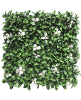 De Kunsthaag Gardenia met witte bloem 50x50 cm UV is een vierkant paneel met dichte groene bladeren en verspreide witte bloemen tegen een witte achtergrond.
