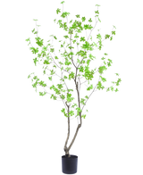 La Planta Artificial Enkianthus 180 cm es una planta de maceta alta y esbelta con ramas delgadas y hojas de color verde brillante sobre un fondo blanco liso.