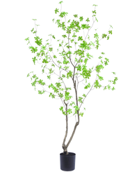 Planta artificial Enkianthus 180 cm