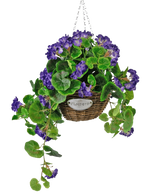 La Begonia Artificial violeta en cesta UV 70cm es una cesta de mimbre colgante con hojas verdes y flores de color violeta vibrante, suspendida de una cadena plateada y provista de una pequeña etiqueta de metal con el texto "Flores".