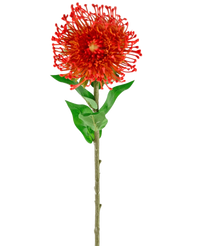 Ramo de flor artificial Protea 73 cm rojo