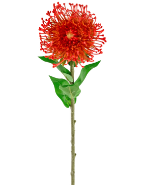 Een Kunstbloem Protea 73 cm rood, met een enkele rode bloem met lange groene steel en bladeren, geïsoleerd op een witte achtergrond.