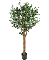 El Olivo artificial UV 155 cm es una planta artificial Easyplants en maceta con un tronco alto de color marrón, hojas verdes densas y pequeñas aceitunas negras, elegante sobre un fondo blanco liso.