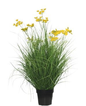 La planta de césped artificial Asteraceae ignífuga de 90 cm tiene hojas largas y delgadas parecidas a la hierba y racimos de pequeñas flores de color amarillo brillante en tallos largos, sobre un fondo blanco liso.