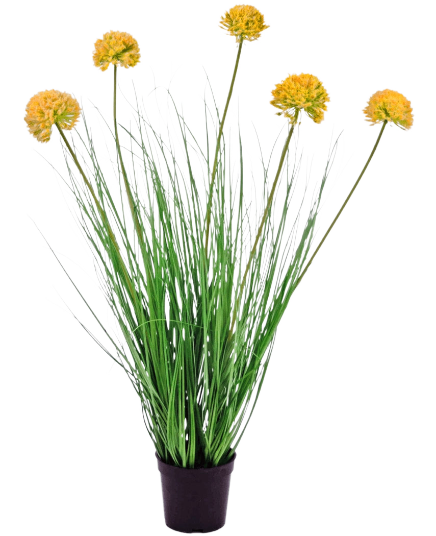 La planta de césped artificial Cebolla ignífuga de 70 cm tiene hojas verdes largas y delgadas y tallos altos con racimos florales redondos de color amarillo, lo que la hace destacar maravillosamente sobre un fondo blanco.