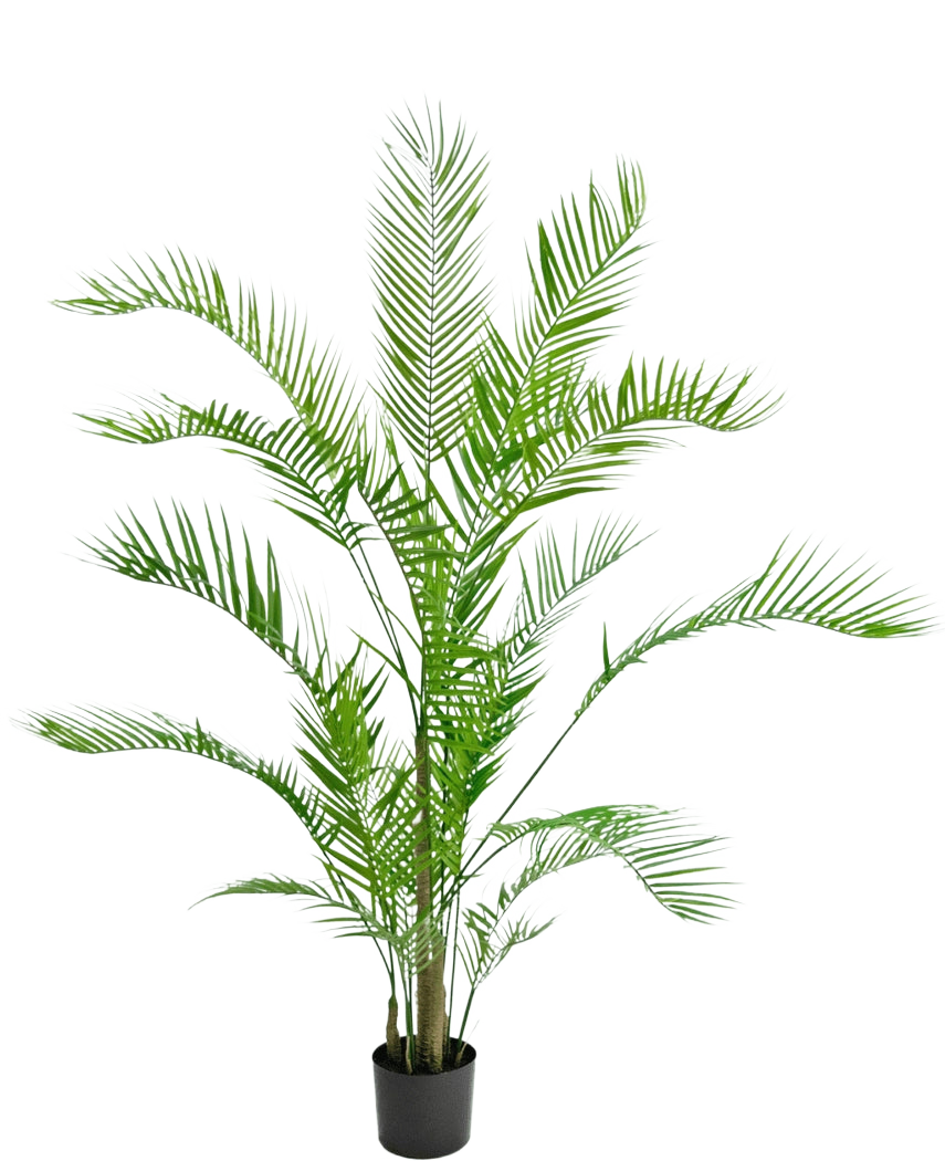 La Planta Artificial Chamaedorea 150 cm es una palmera alta en una maceta con hojas verdes largas y arqueadas y tallos delgados, sobre un fondo blanco liso.