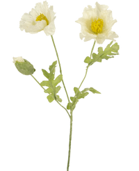Ramo de flor artificial Amapola 73 cm blanca