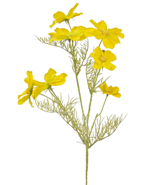 La flor artificial Cosmos de 74 cm amarilla tiene flores de color amarillo brillante y delicadas hojas verdes plumosas sobre tallos delgados, perfectas para crear un ramo sobre un fondo blanco liso.