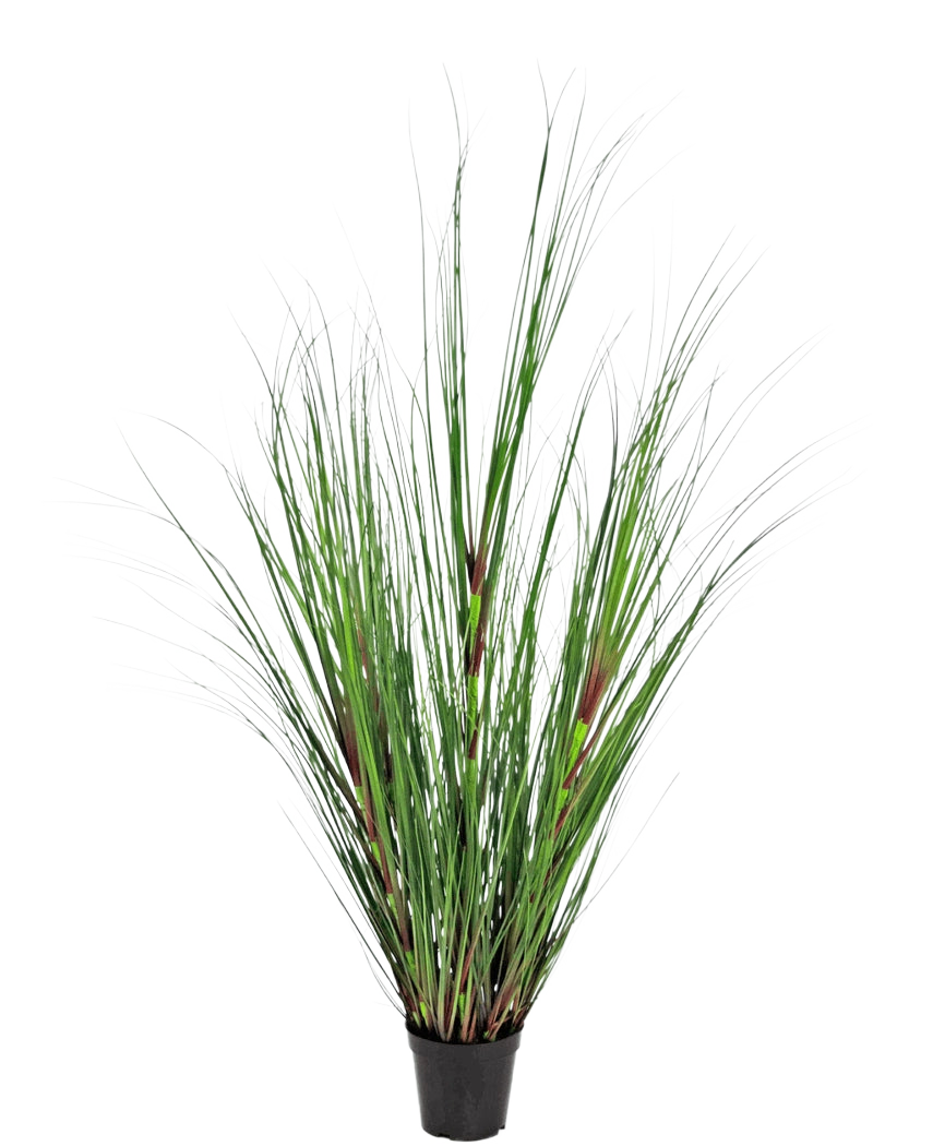 La Planta de Césped Artificial Cebolla ignífuga de 120 cm tiene hojas largas y delgadas de color verde con toques de color marrón rojizo, presentadas en una maceta sobre un fondo liso blanco.