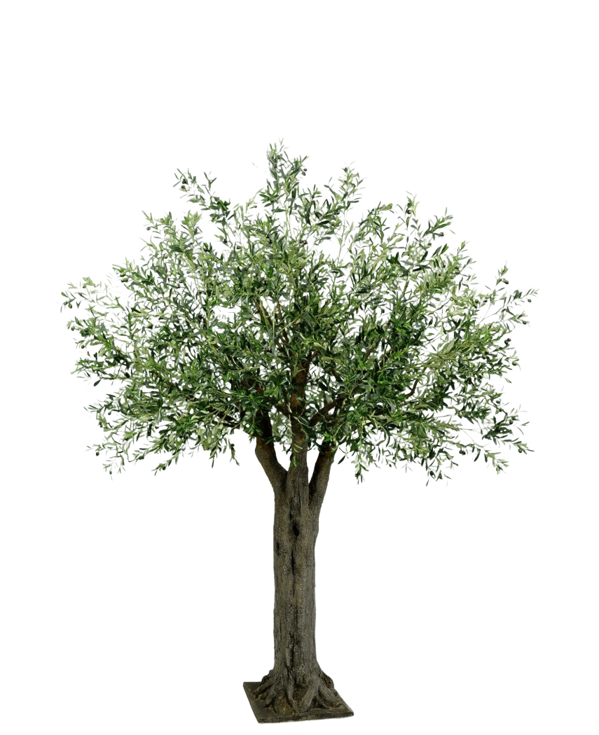 El olivo artificial gigante con olivos de 250 cm tiene un tronco grueso y texturizado y hojas verdes densas y delgadas y aporta el lujo mediterráneo sin mantenimiento sobre un fondo blanco y sencillo.