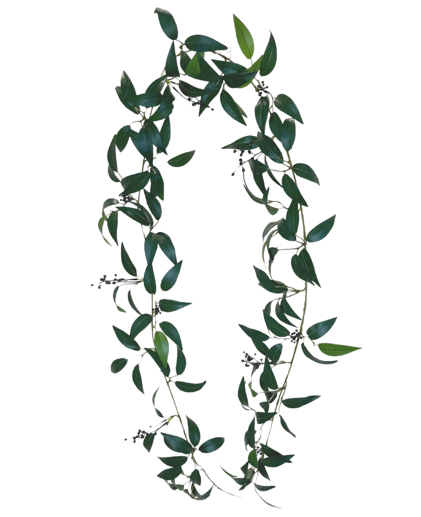 La Guirnalda Artificial Smilax 180cm es una corona en forma de letra O, hecha de largas ramas de hojas verdes con pequeños racimos de bayas oscuras sobre un fondo blanco liso.