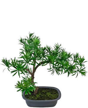 La Planta Artificial Bonsái Podocarpus 40 cm presenta un denso follaje verde en una maceta gris rectangular poco profunda con musgo, perfecta para agregar un estilo natural a cualquier espacio.