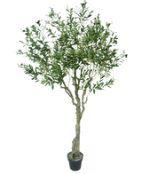 De Kunst Olijfboom 200 cm heeft een slanke lichtbruine stam, talloze groene bladeren en kleine donkere olijven op de takken. Tegen een witte achtergrond oogt deze kunstolijfboom levensecht.