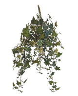 De Kunst Klimop Deluxe Groen-wit 60cm is een hangende tros van kunstmatige klimopranken met groen en wit bonte bladeren tegen een effen witte achtergrond.