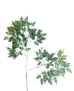 La Hoja Artificial Ming Aralia 50 cm verde retardante de fuego es una planta artificial alta y esbelta con tallos finos y manojos de hojas verdes con bordes dentados sobre un fondo blanco liso.