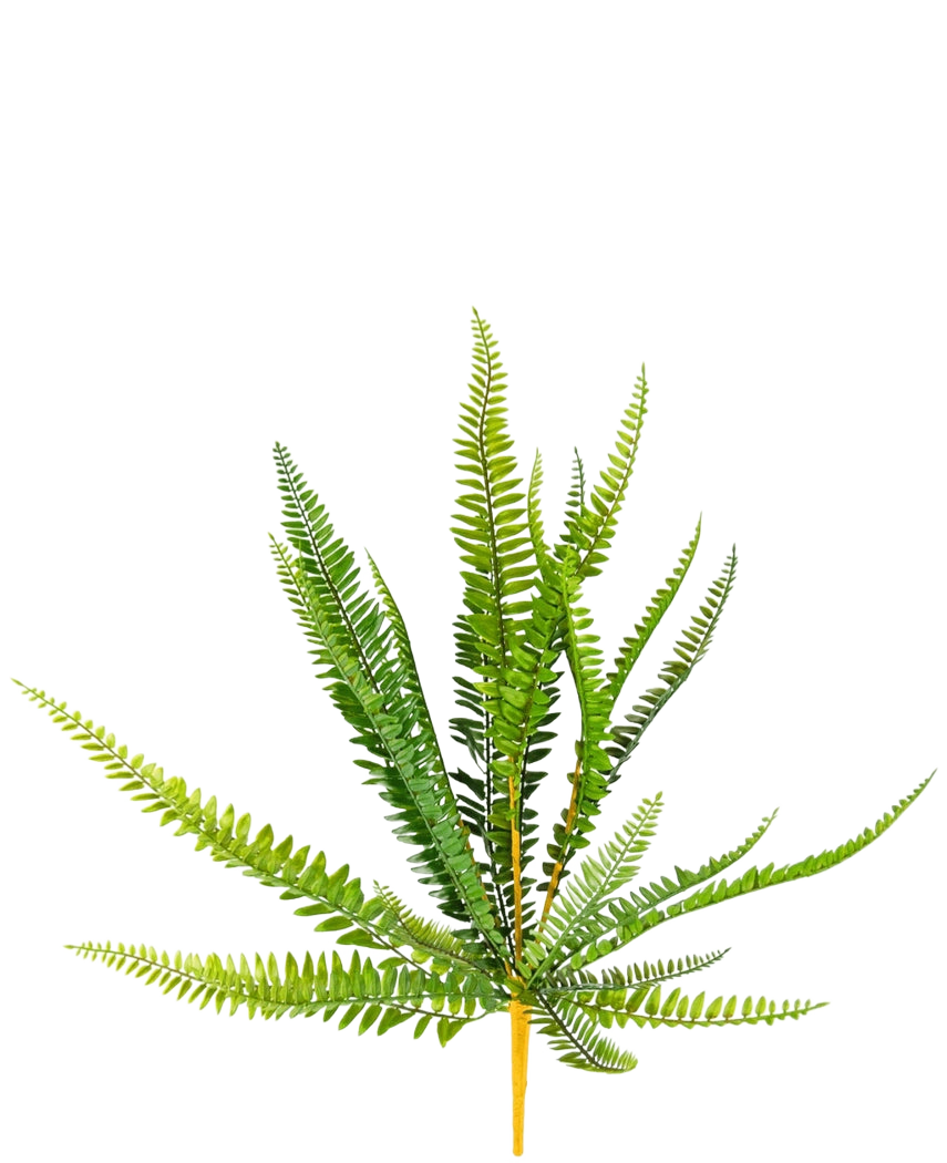 La planta de helecho artificial de 55 cm tiene hojas verdes vibrantes, largas y delgadas y puntiagudas que sobresalen hacia afuera, sobre un fondo blanco liso.