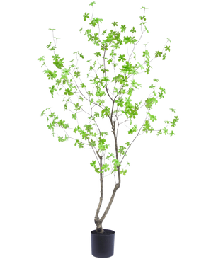 La Planta Artificial Enkianthus 180 cm es una planta de maceta alta y esbelta con ramas delgadas y hojas de color verde brillante sobre un fondo blanco liso.