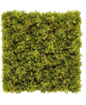 El seto artificial Nordic Moss 50x50 cm UV es un panel cuadrado densamente cubierto de exuberante musgo verde sobre un fondo blanco, que crea un aspecto texturizado y natural perfecto para interiores elegantes.