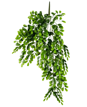 La planta colgante artificial Pumila de 86 cm es una rama artificial realista con múltiples tallos de pequeñas hojas ovaladas de color verde brillante, que parecen exuberantes y en cascada sobre un fondo blanco liso.