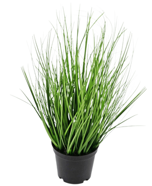 La planta de césped artificial Cebolla de 33 cm (retardante de fuego) tiene hojas largas, delgadas y verdes que parecen hierba en una pequeña maceta negra, sobre un fondo blanco liso.