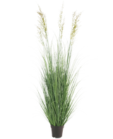 La planta de césped artificial Trigo ignífugo de 150 cm es una planta alta que no requiere mantenimiento, con esbeltas hojas verdes y penachos en una maceta, ideal como decoración de jardín, representada sobre un fondo blanco liso.