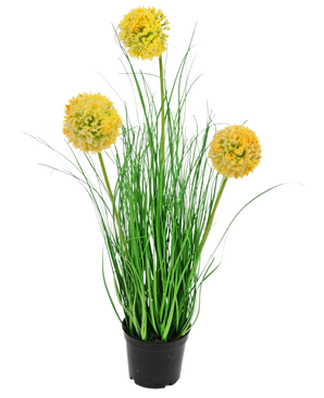De Kunst Grasplant Ui 50 cm brandvertragend heeft lange, dunne groene bladeren en drie ronde gele pluizige bloemen op hoge stelen, die groene tuin charme toevoegen tegen een effen witte achtergrond.
